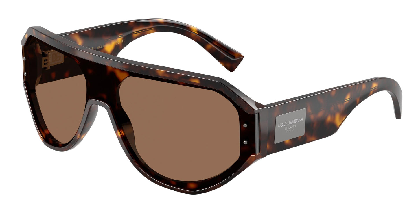 Dolse & Gabana  4481 Sunglasses