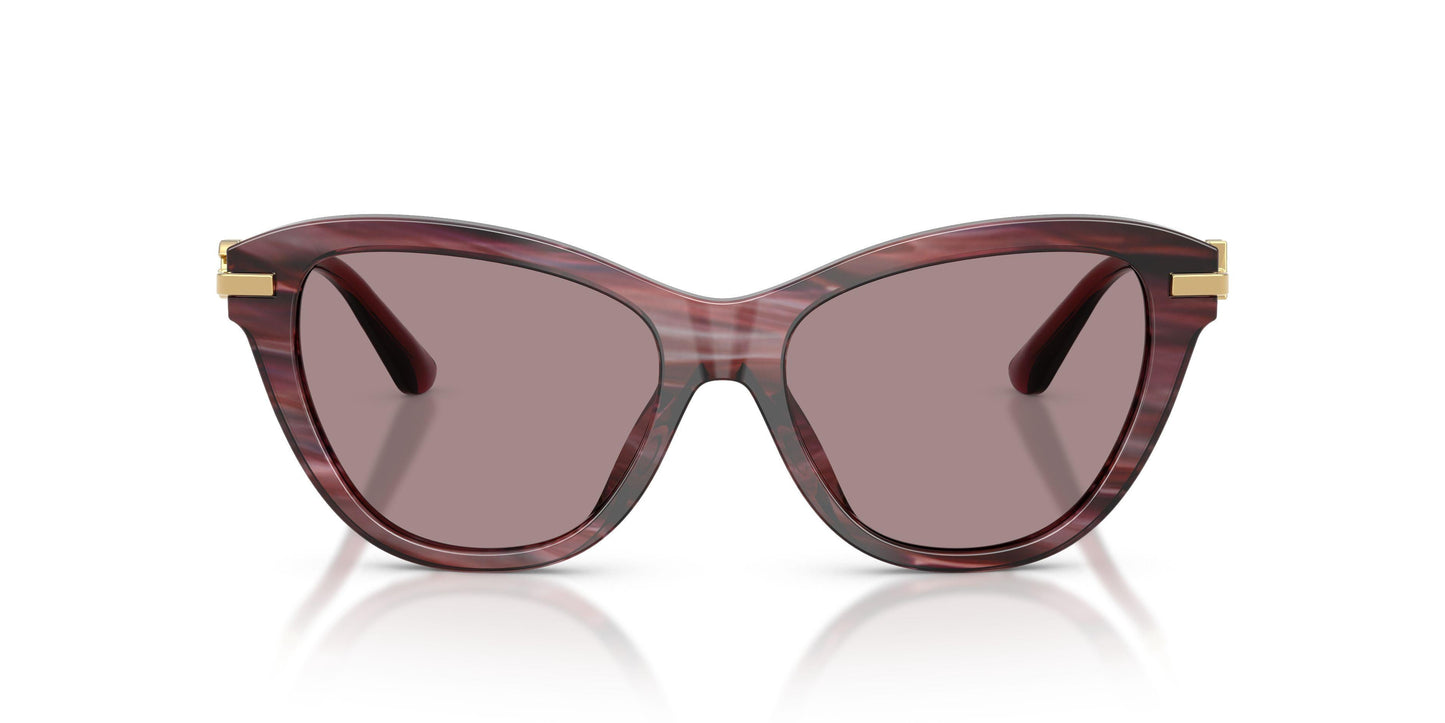 Dolse & Gabana  4534 Sunglasses
