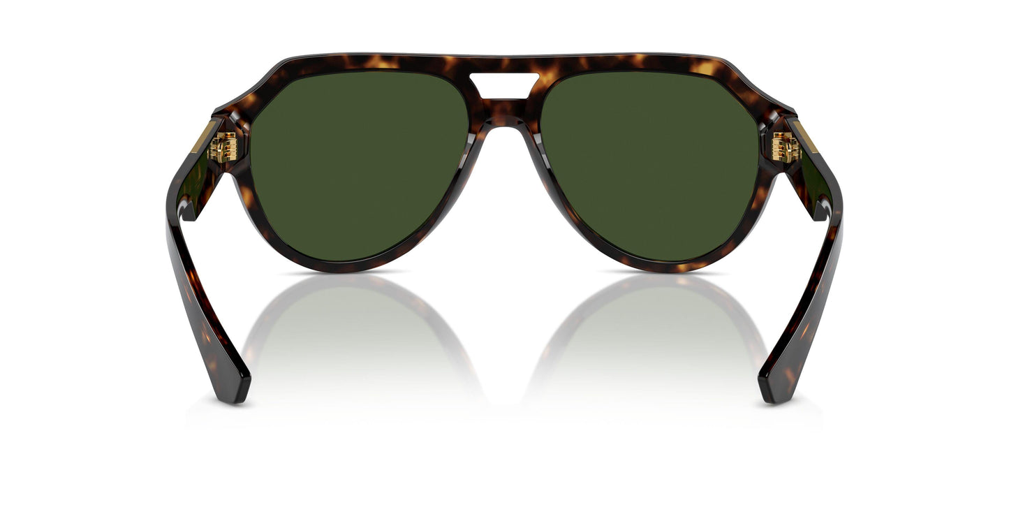 Dolse & Gabana  4466F Sunglasses