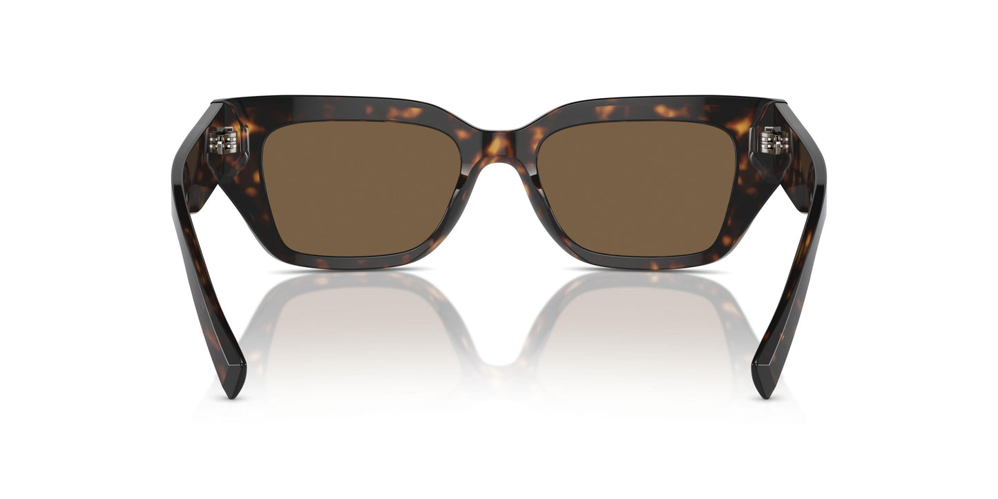 Dolse & Gabana  4462 Sunglasses