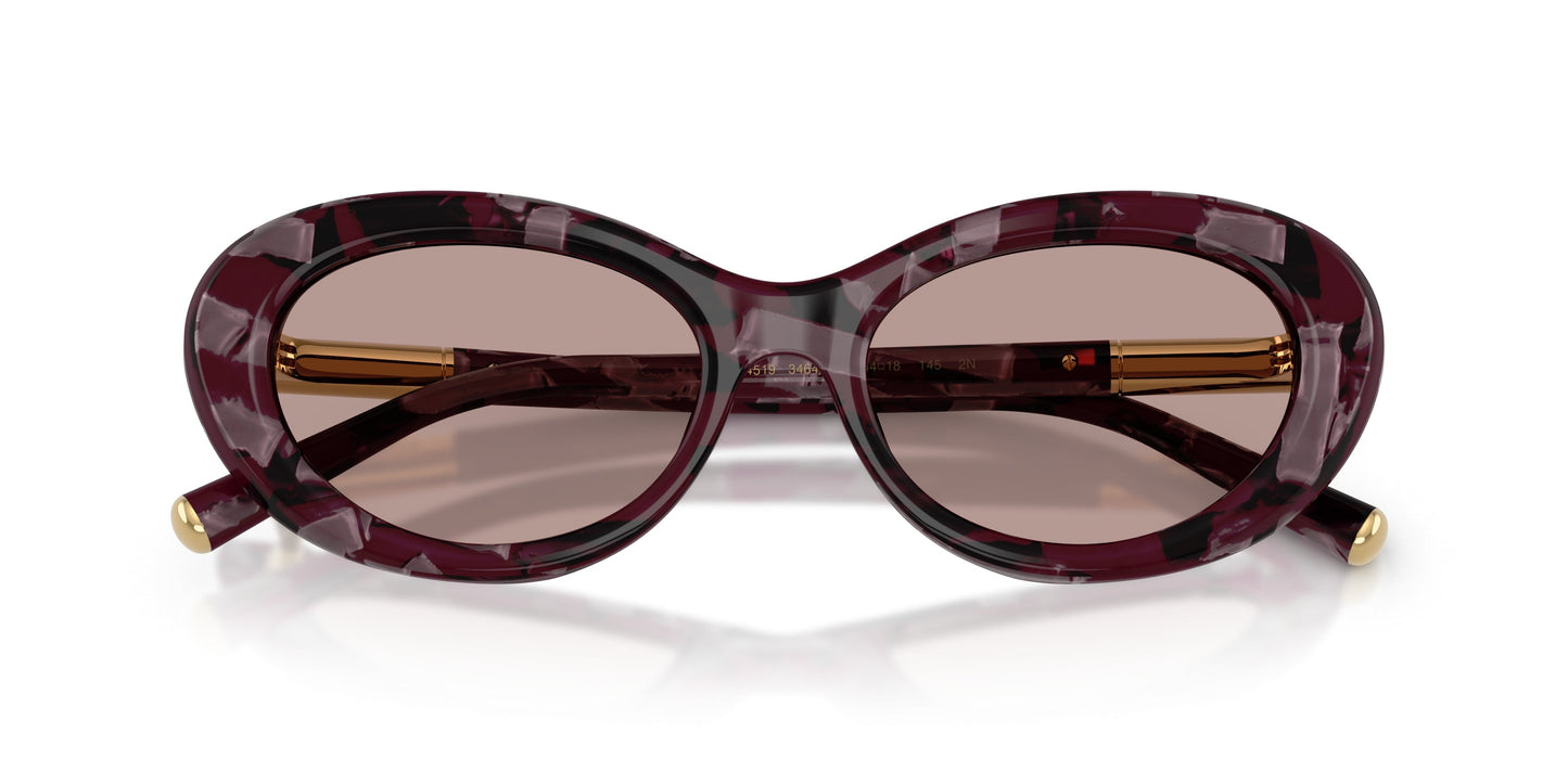 Dolse & Gabana  4519 Sunglasses