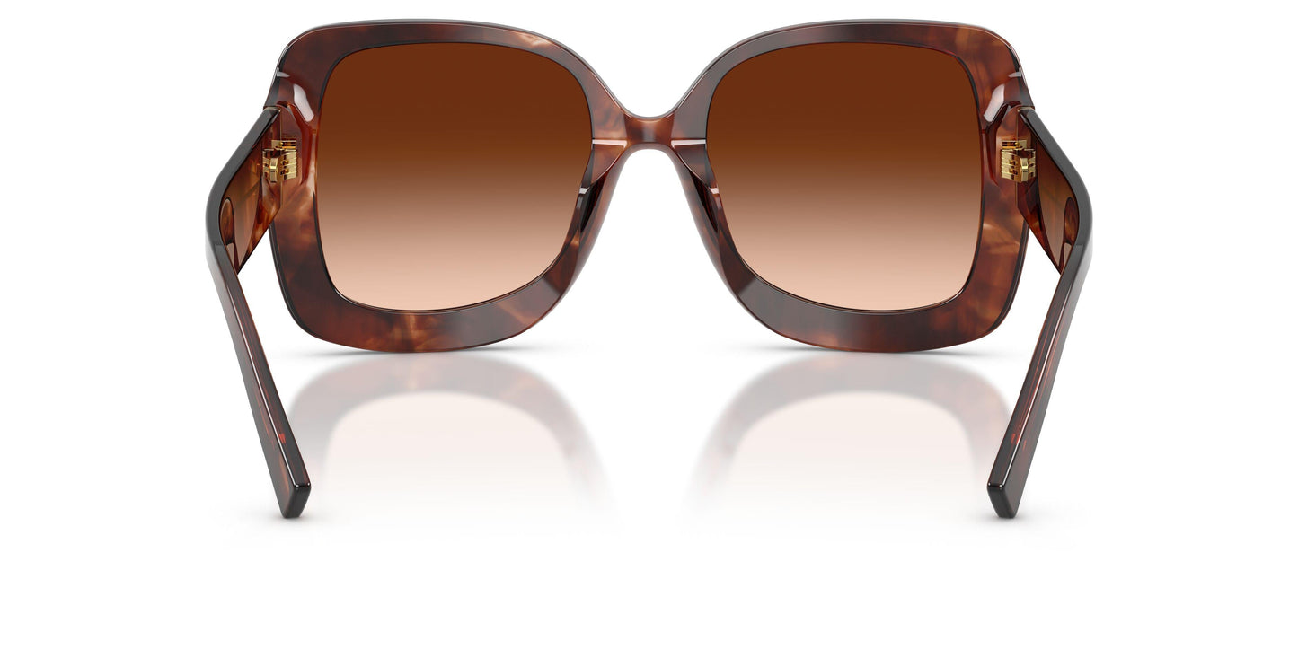 Dolse & Gabana  4513 Sunglasses
