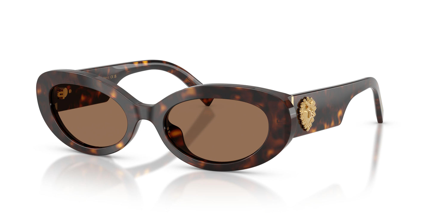 Dolse & Gabana  4537 Sunglasses