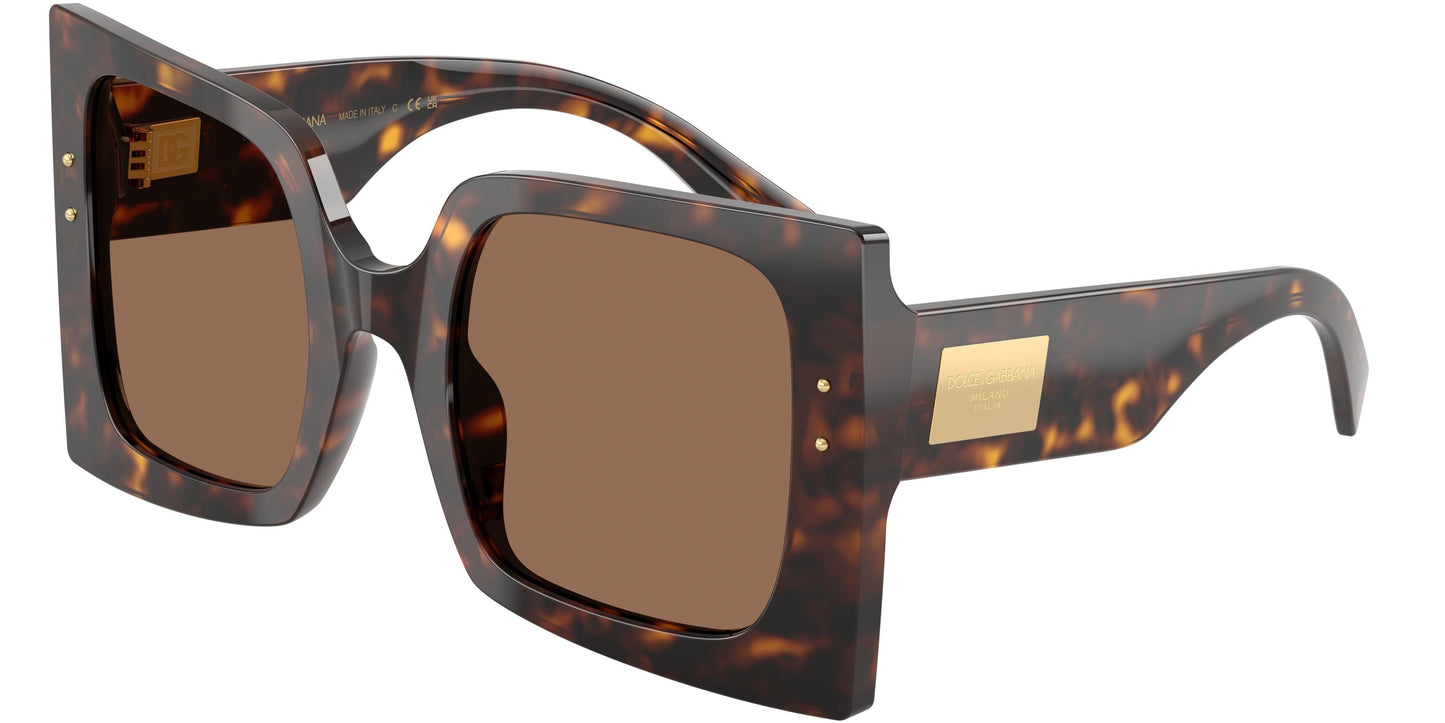Dolse & Gabana  4490 Sunglasses