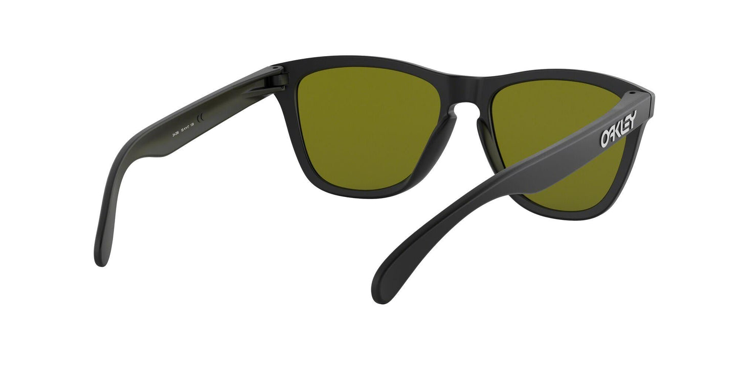 Oakley Frogskins 9013 Sunglasses