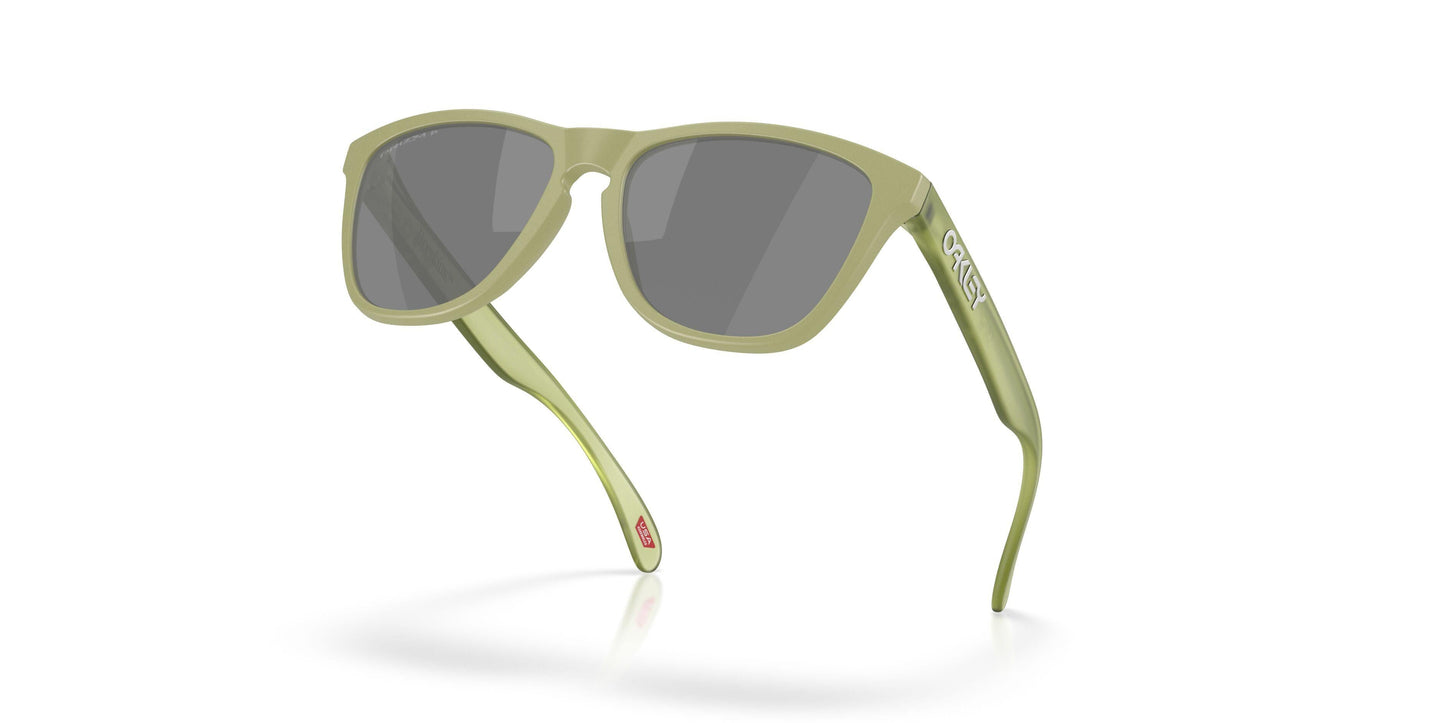 Oakley Frogskins 9245 Sunglasses