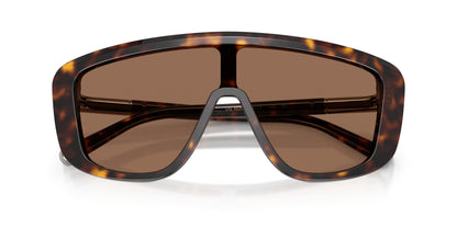 Dolse & Gabana  4520 Sunglasses
