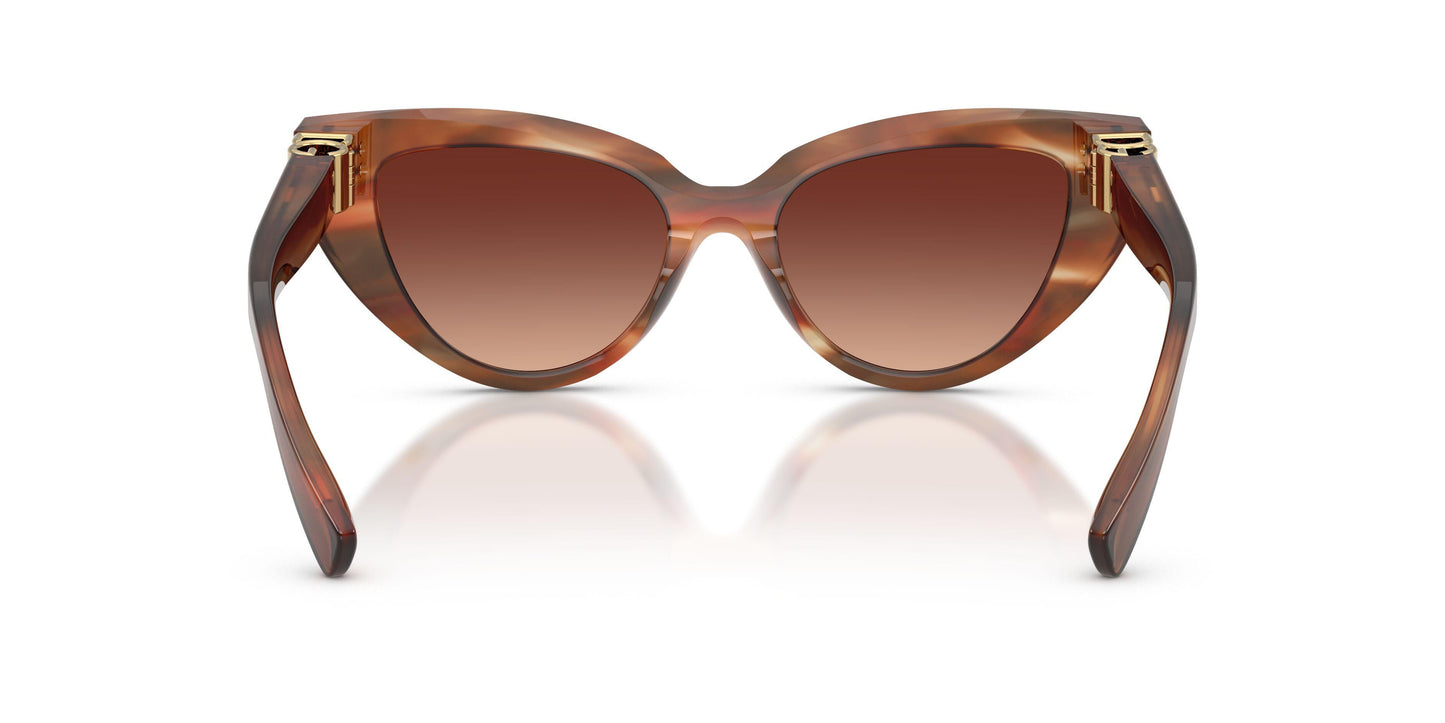 Dolse & Gabana  4497 Sunglasses