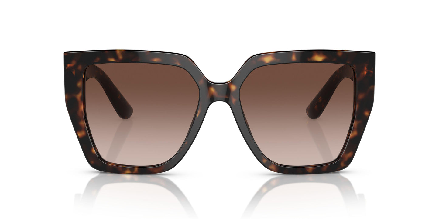 Dolse & Gabana  4438F Sunglasses