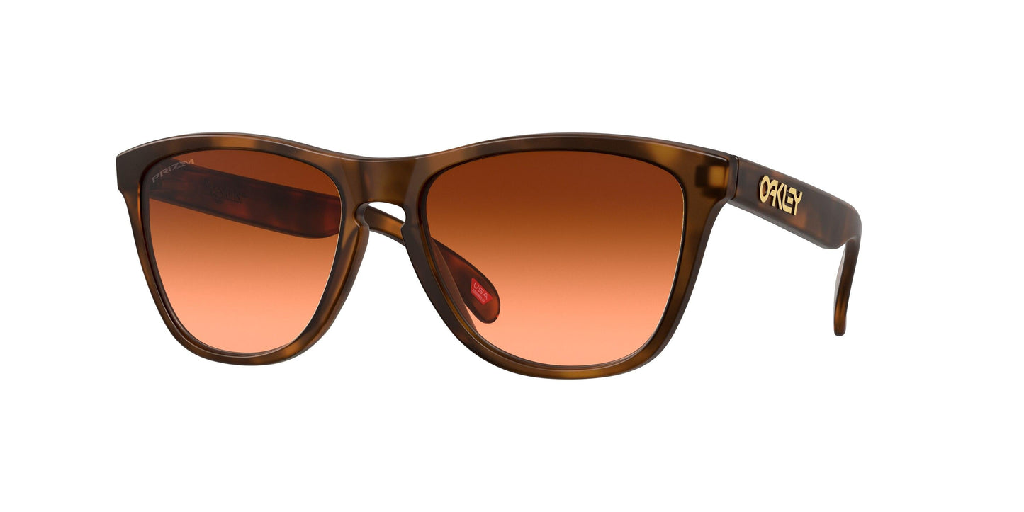 Oakley Frogskins 9245 Sunglasses