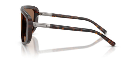 Dolse & Gabana  4520 Sunglasses