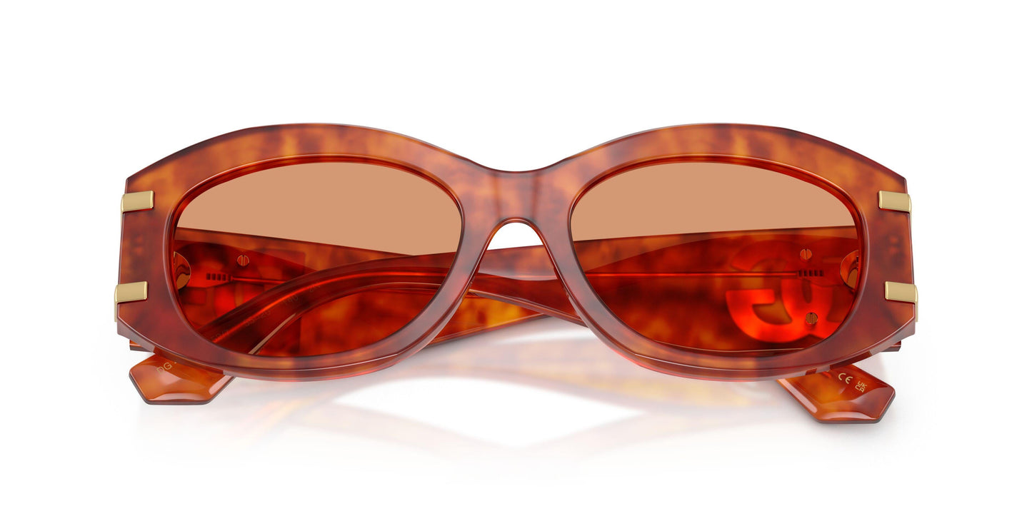 Dolse & Gabana  4502 Sunglasses