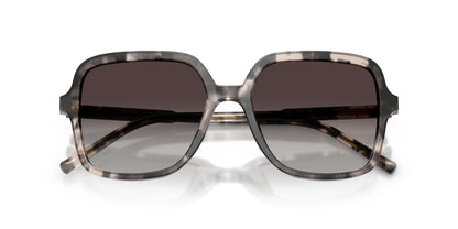 Dolse & Gabana  4539 Sunglasses