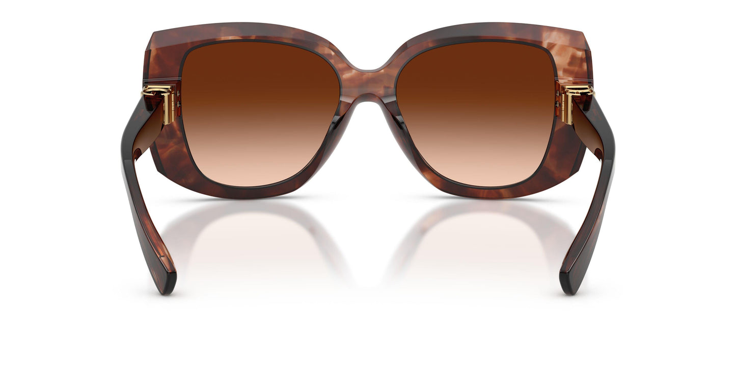Dolse & Gabana  4495 Sunglasses