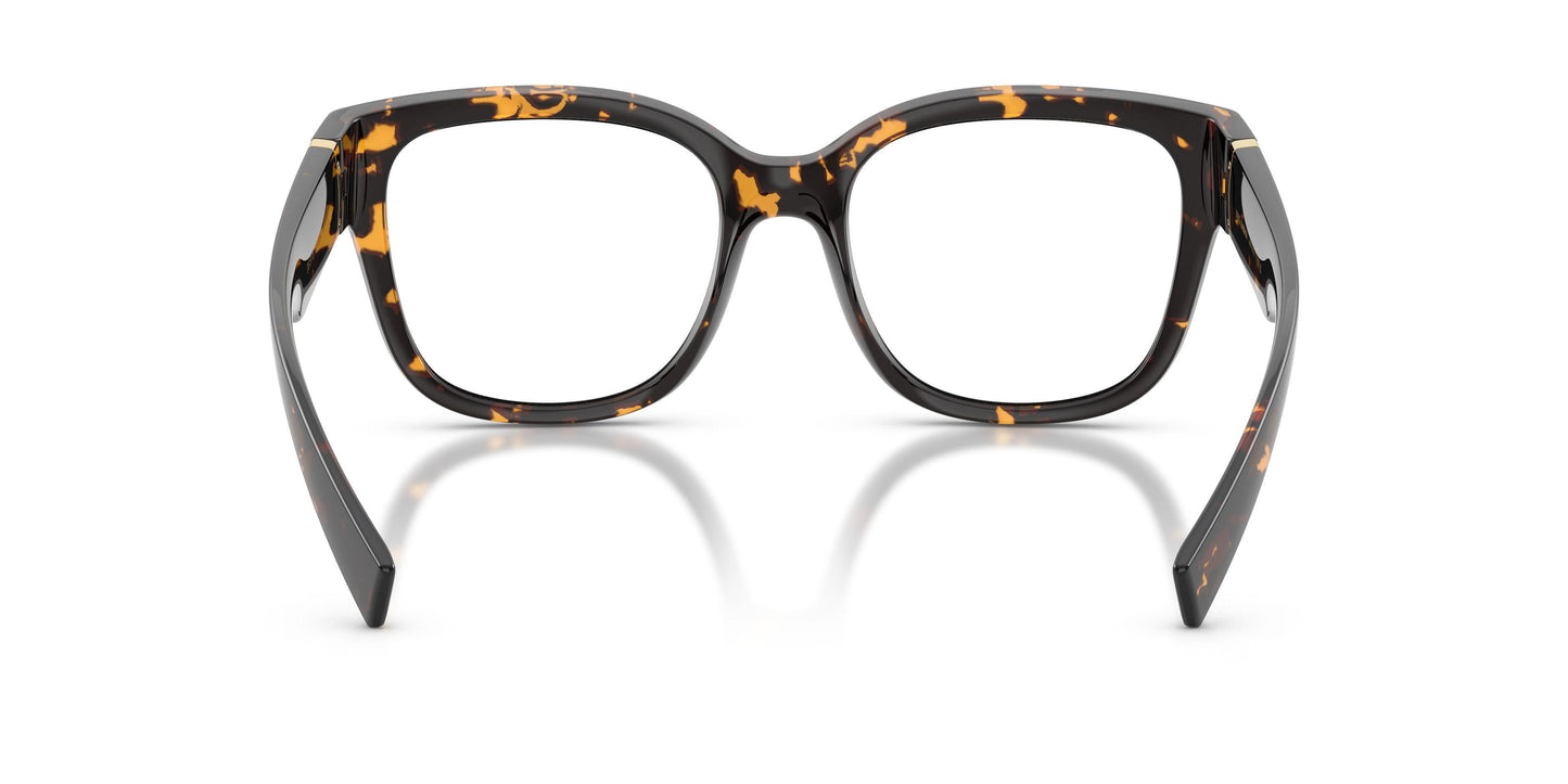 Dolse & Gabana  5115 Eyeglasses