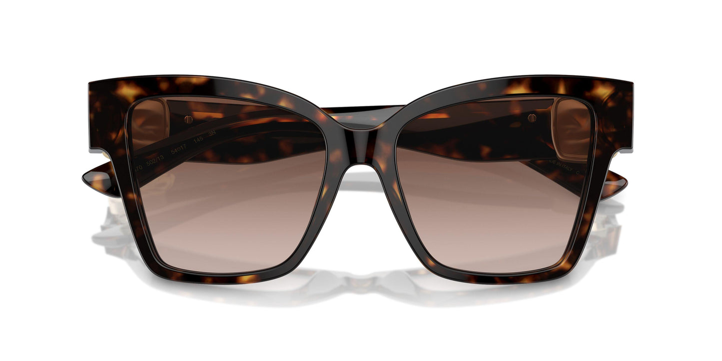 Dolse & Gabana  4470 Sunglasses