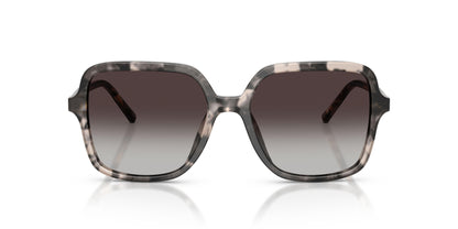 Dolse & Gabana  4539 Sunglasses