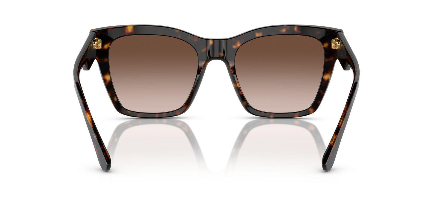 Dolse & Gabana  4384 Sunglasses