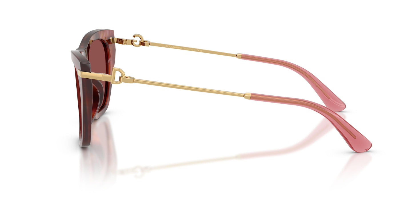 Dolse & Gabana  4511 Sunglasses