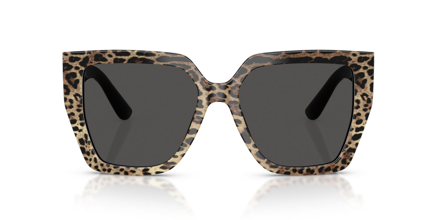 Dolse & Gabana  4438 Sunglasses