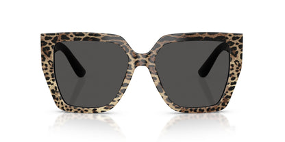 Dolse & Gabana  4438 Sunglasses