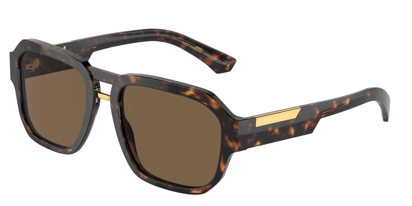 Dolse & Gabana  4464 Sunglasses
