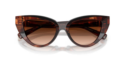 Dolse & Gabana  4497 Sunglasses