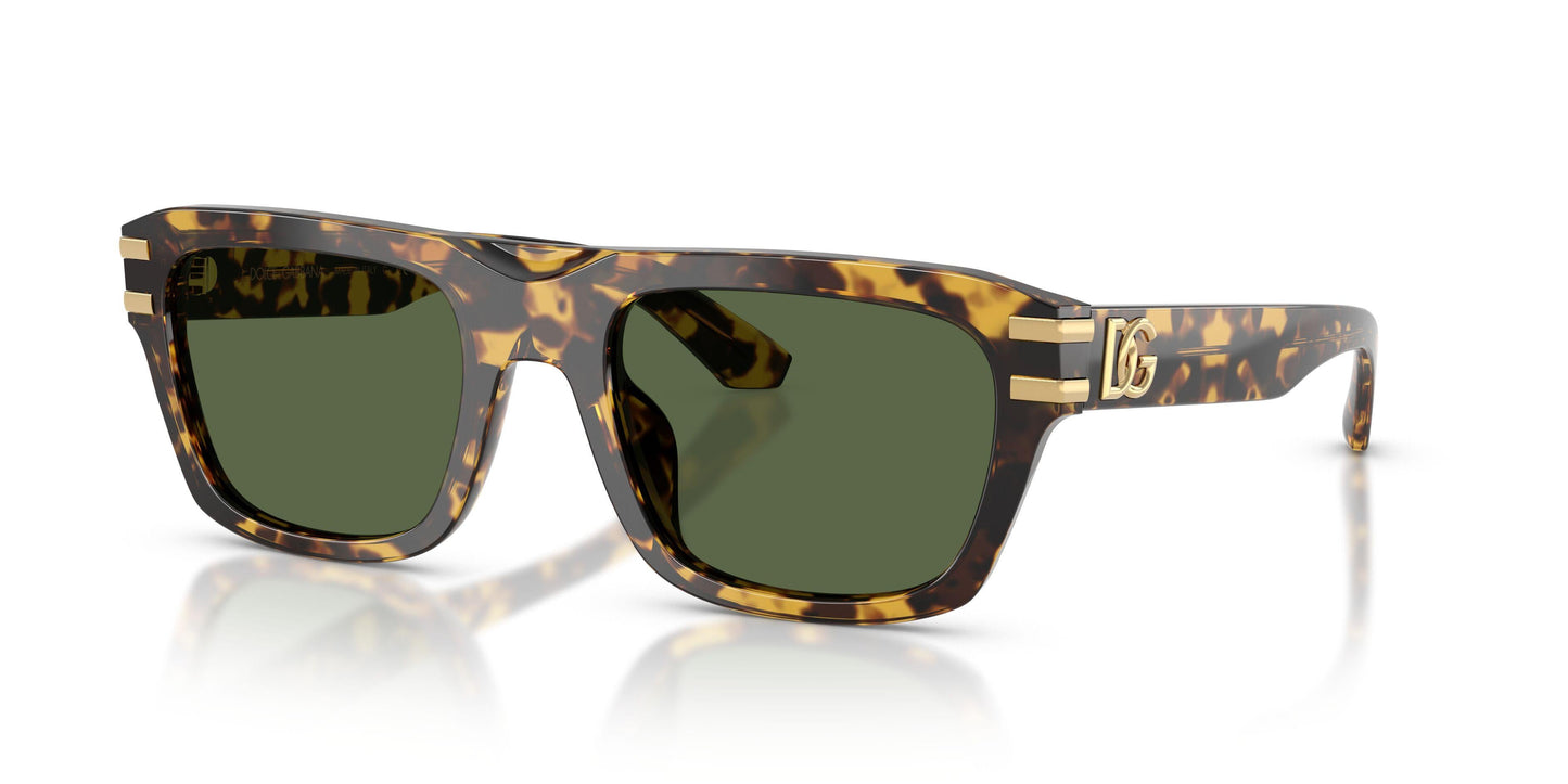 Dolse & Gabana  4496 Sunglasses