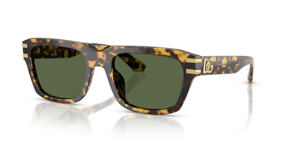 Dolse & Gabana  4496 Sunglasses