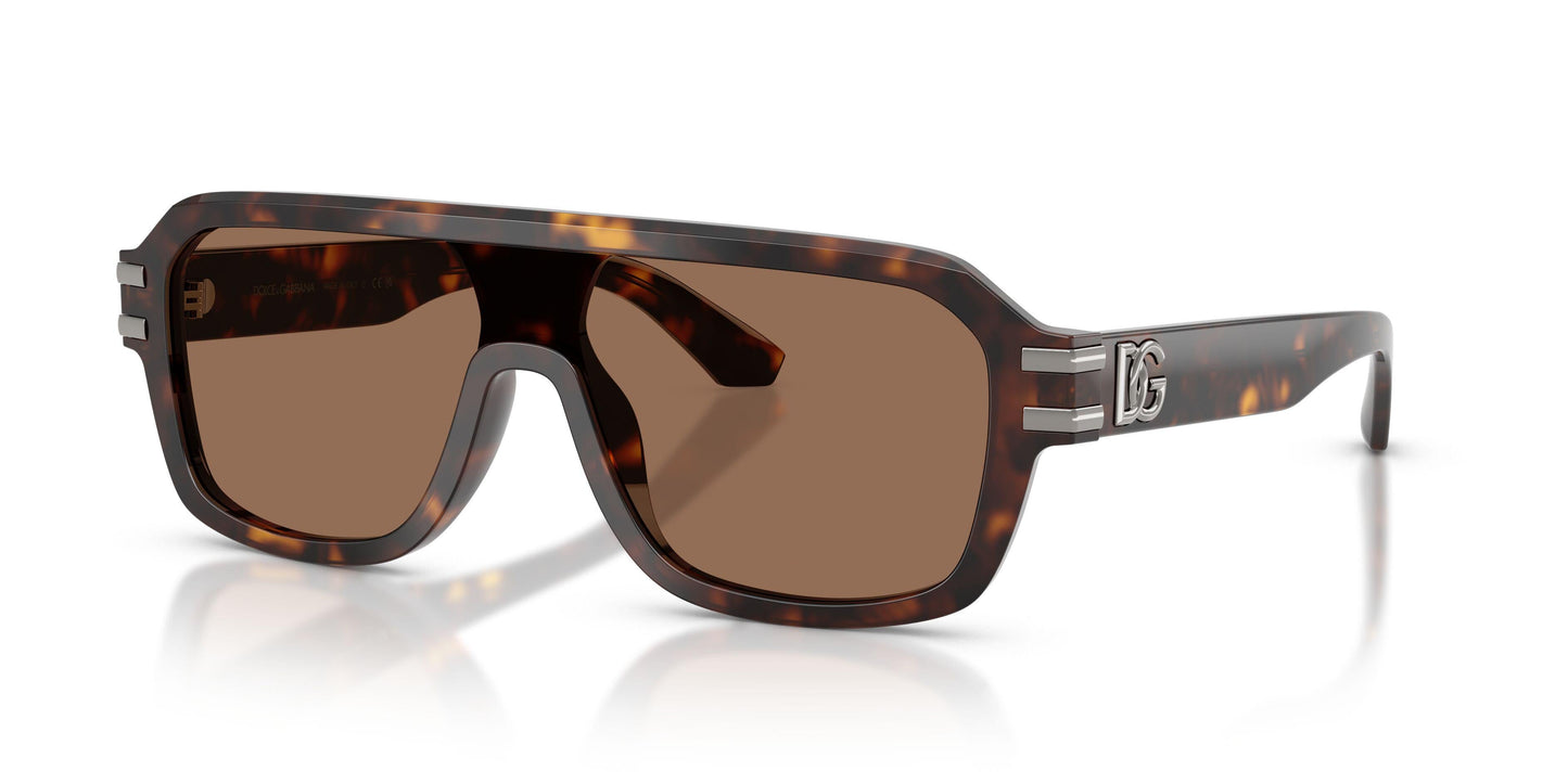 Dolse & Gabana  4507 Sunglasses