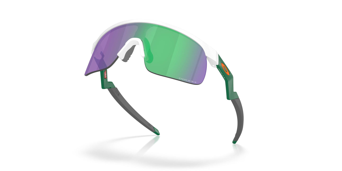 Oakley Resistor 9010 Sunglasses