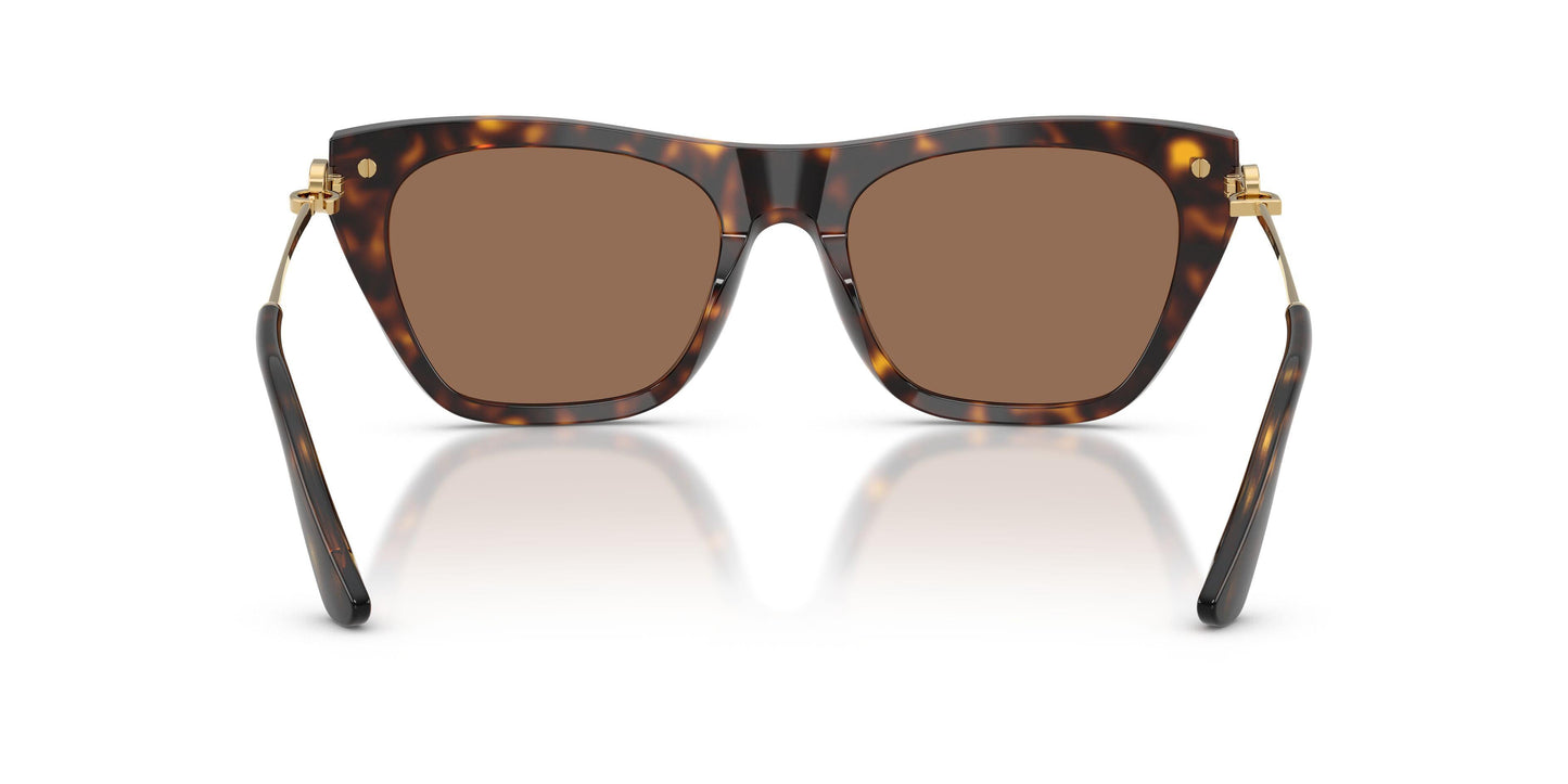 Dolse & Gabana  4511 Sunglasses