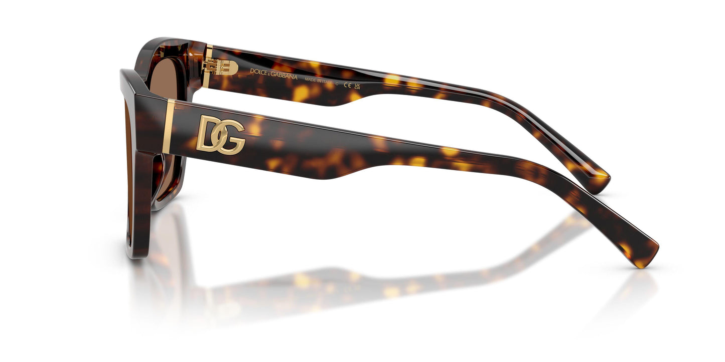 Dolse & Gabana  4512 Sunglasses