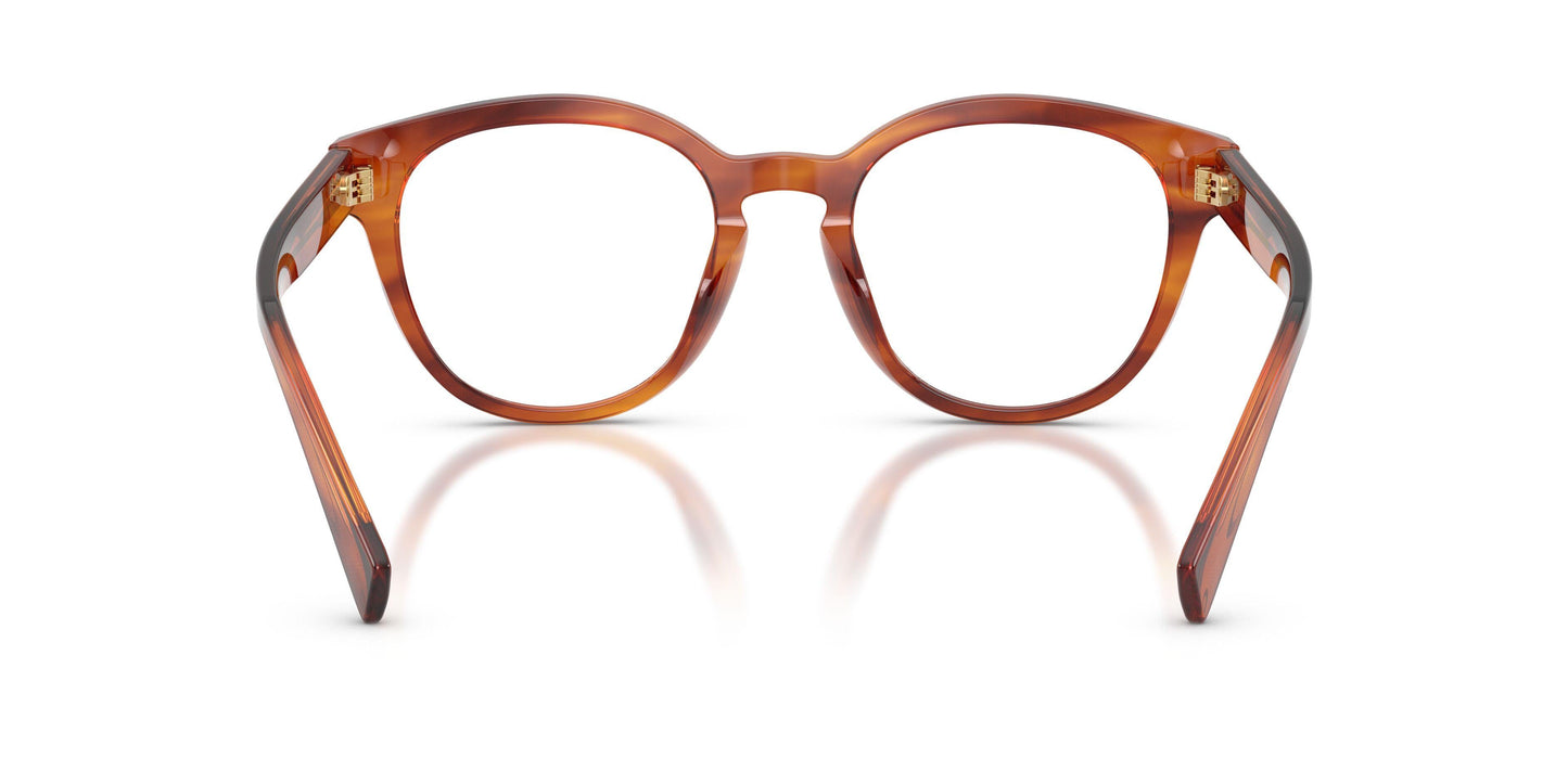 Dolse & Gabana  3421 Eyeglasses