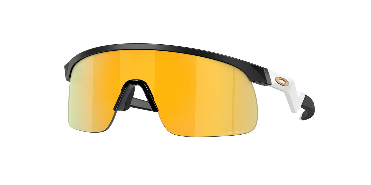 Oakley Resistor 9010 Sunglasses
