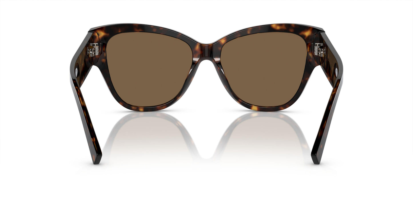 Dolse & Gabana  4449 Sunglasses