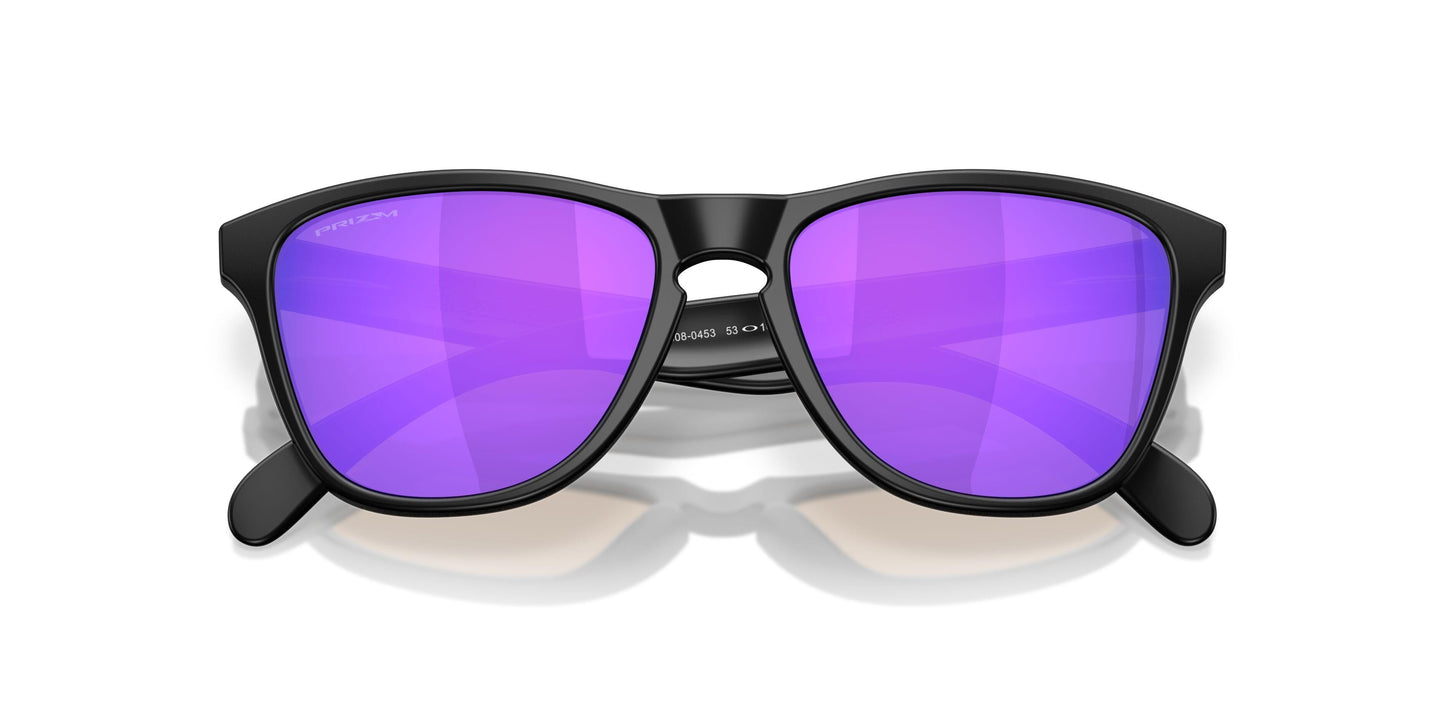 Oakley Frogskins S 9508 Sunglasses