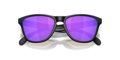 Oakley Frogskins S 9508 Sunglasses