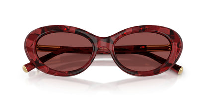 Dolse & Gabana  4519 Sunglasses