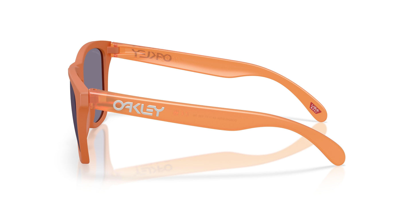 Oakley Frogskins 9245 Sunglasses