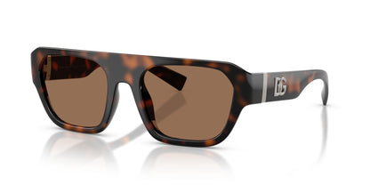 Dolse & Gabana  6206 Sunglasses
