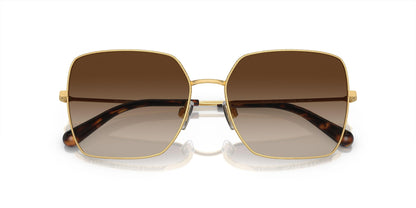 Dolse & Gabana  2242 Sunglasses