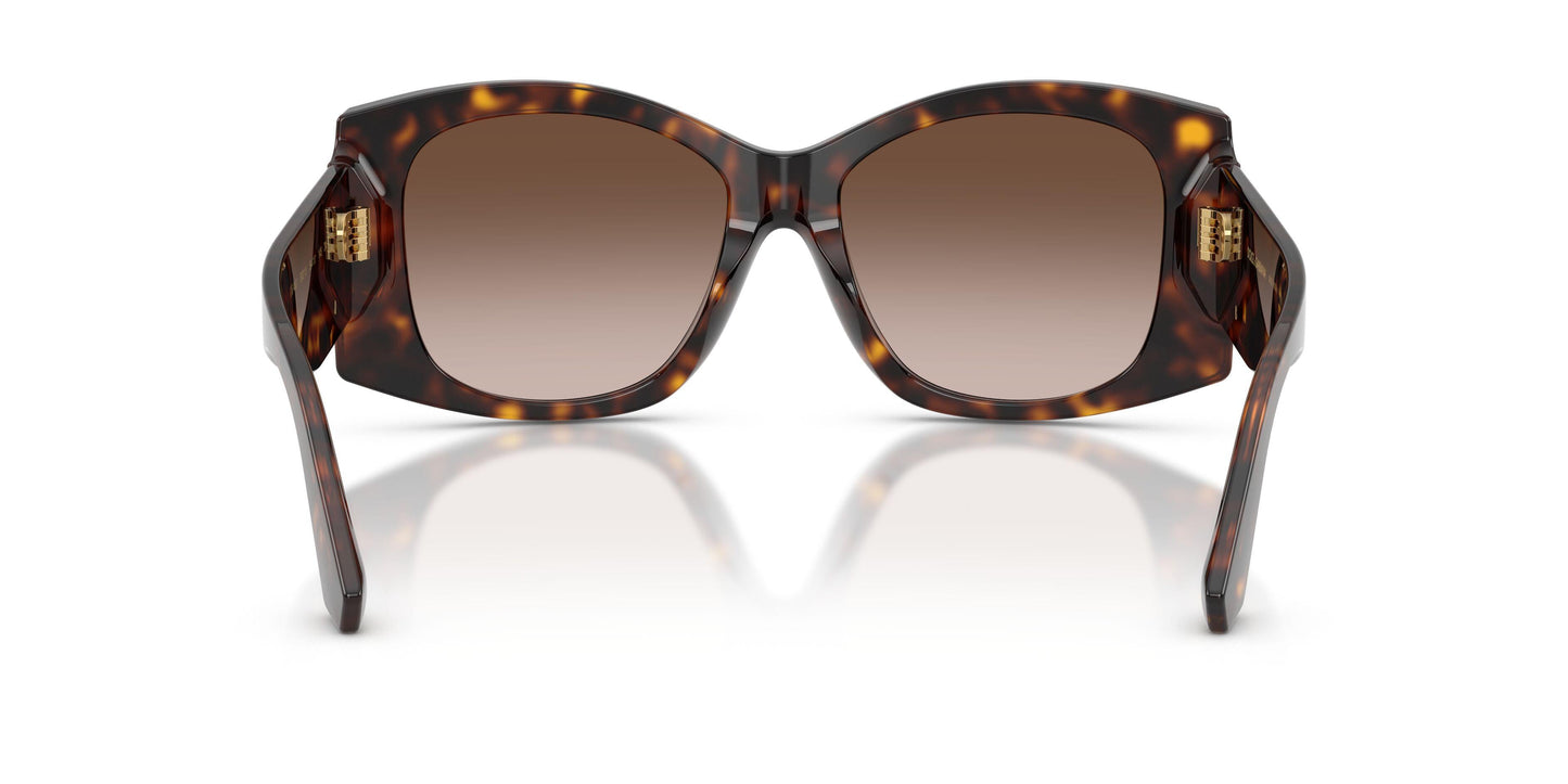 Dolse & Gabana  4501 Sunglasses