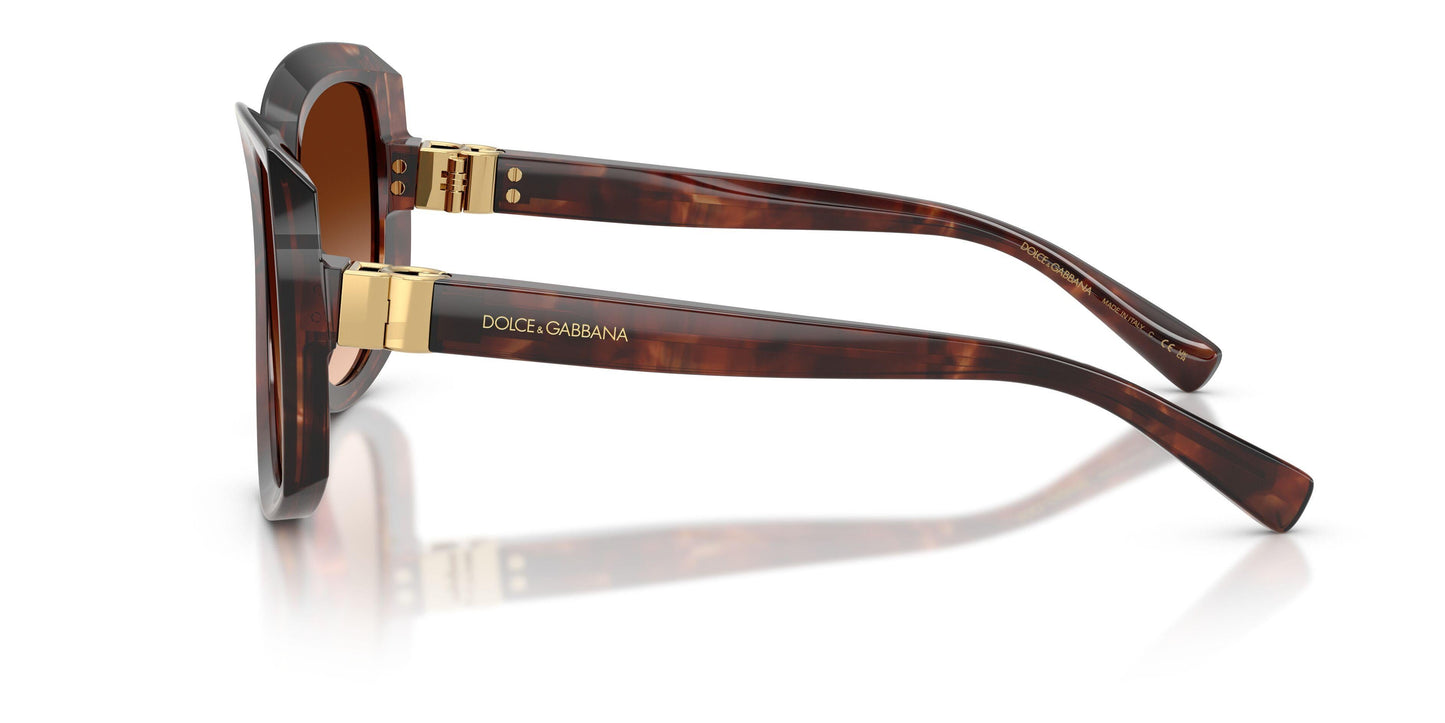 Dolse & Gabana  4495 Sunglasses