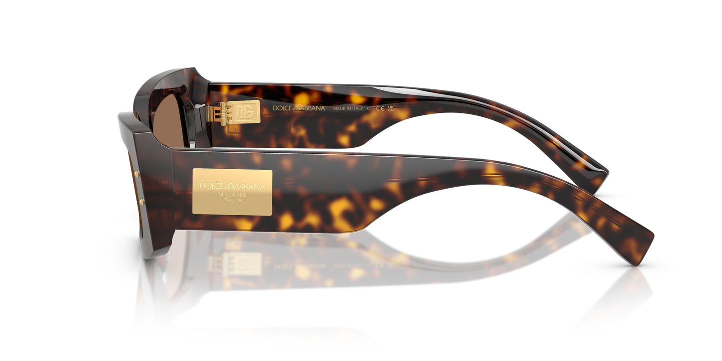 Dolse & Gabana  4479 Sunglasses