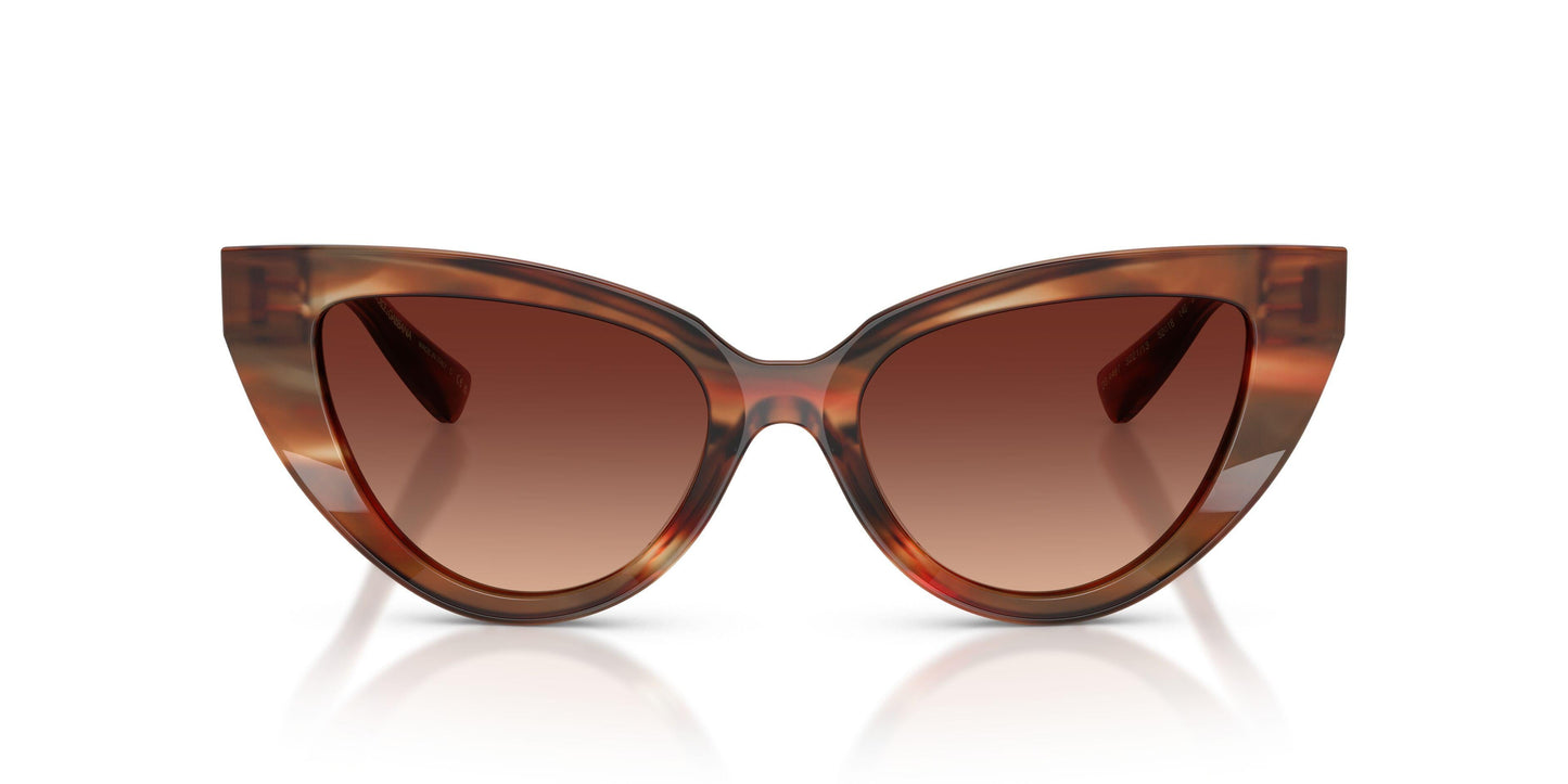 Dolse & Gabana  4497 Sunglasses