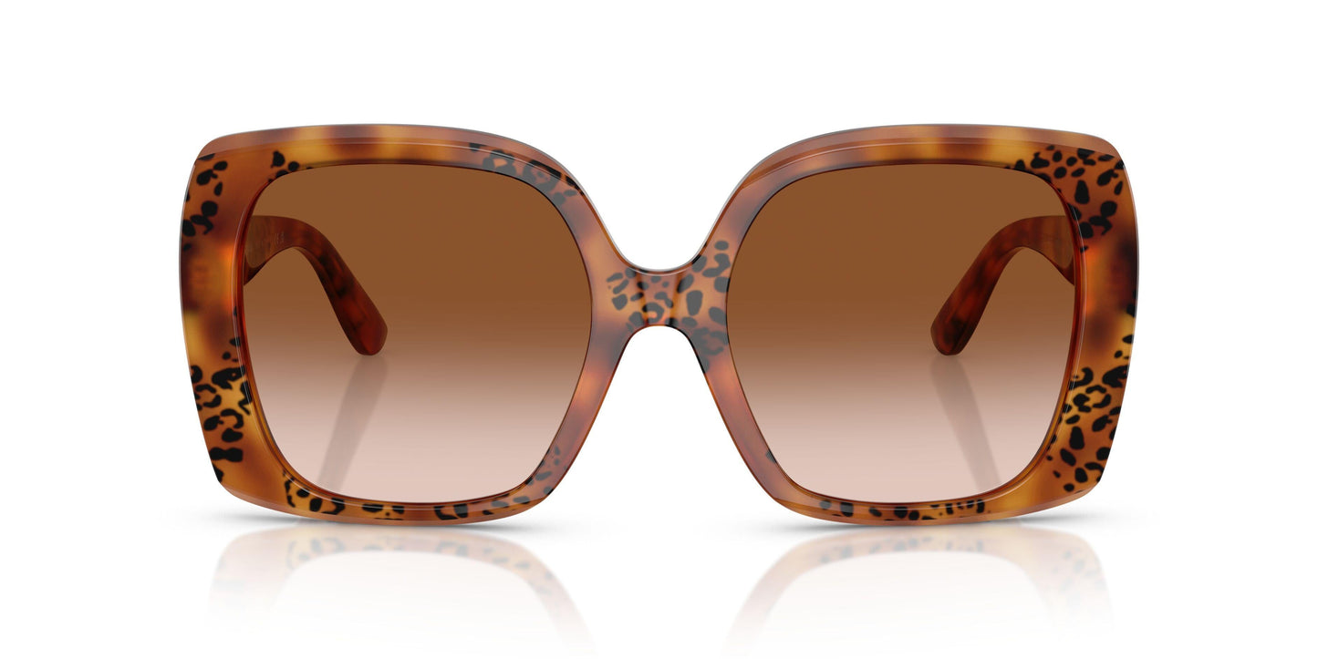 Dolse & Gabana  4475 Sunglasses