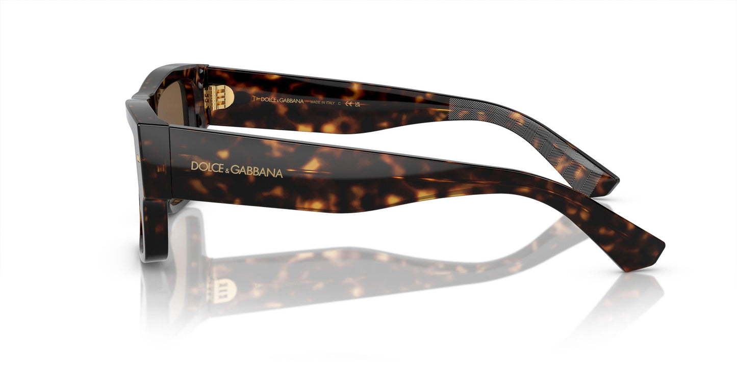 Dolse & Gabana  4451F Sunglasses