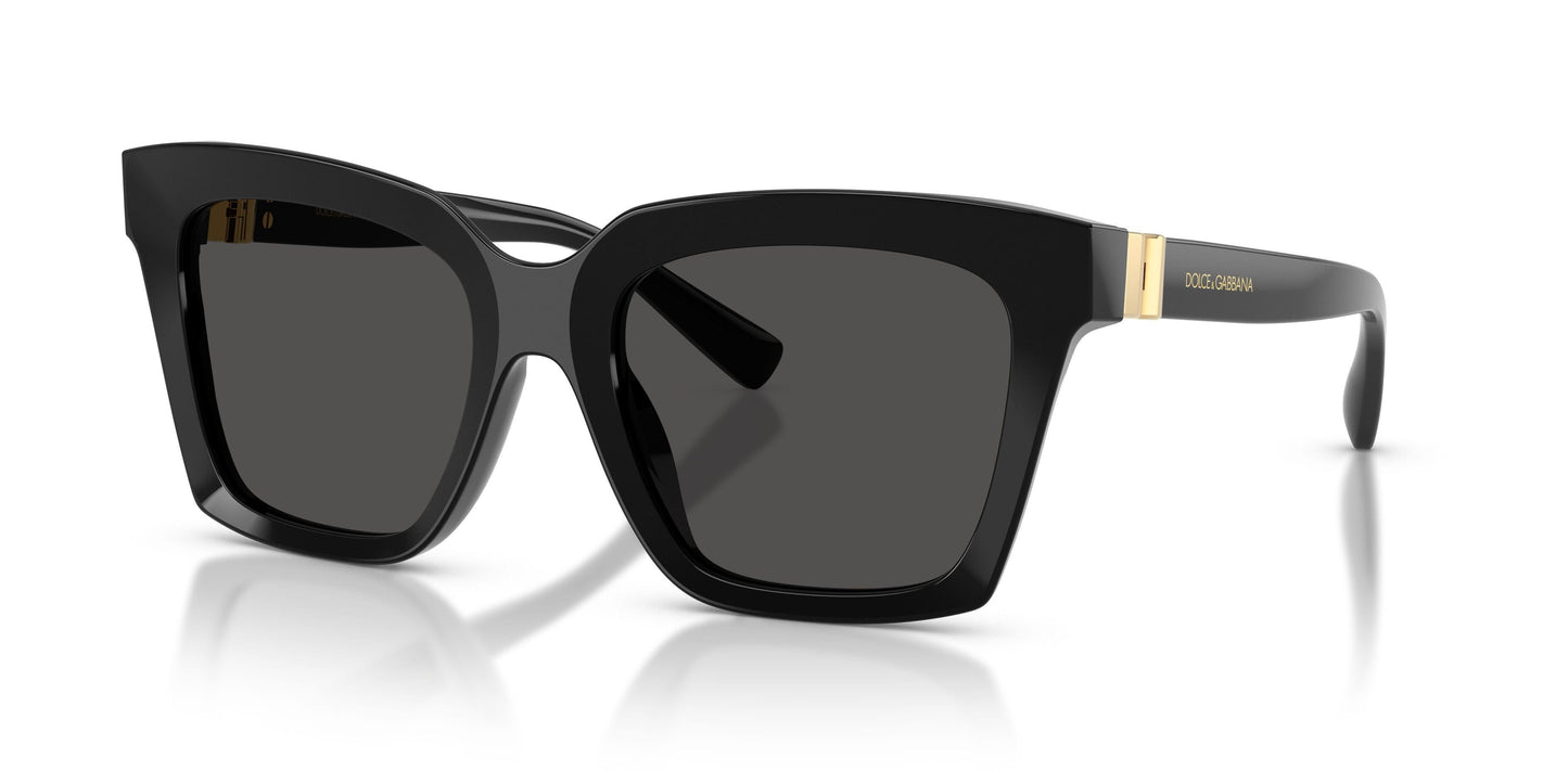 Dolse & Gabana  4498 Sunglasses
