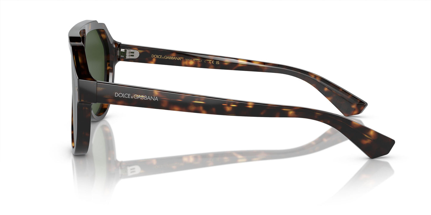 Dolse & Gabana  4452 Sunglasses